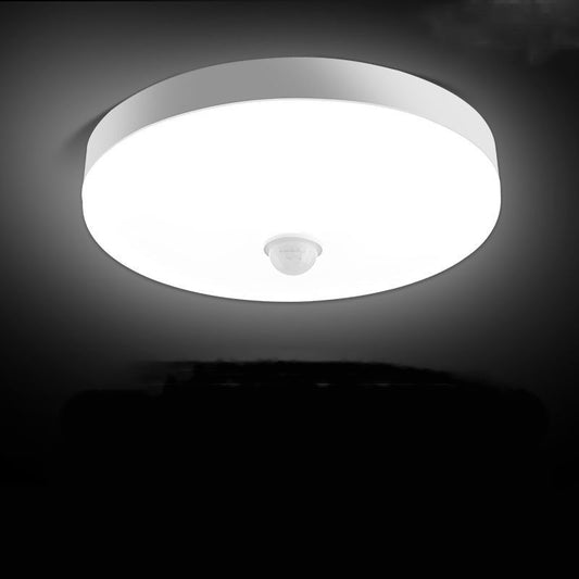 LED Human Voice-activated Induction Ceiling Light